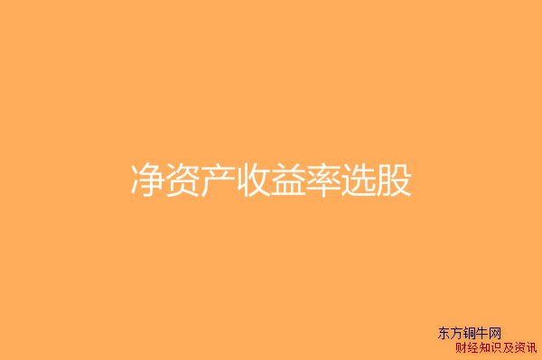 凈資產(chǎn)收益率選股